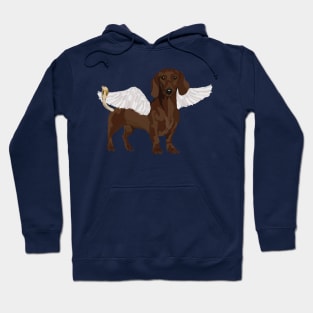 Chimera dachshund Hoodie